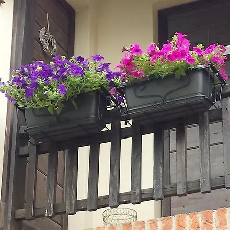 Alojamento de Acomodação e Pequeno-almoço San Martino 3*