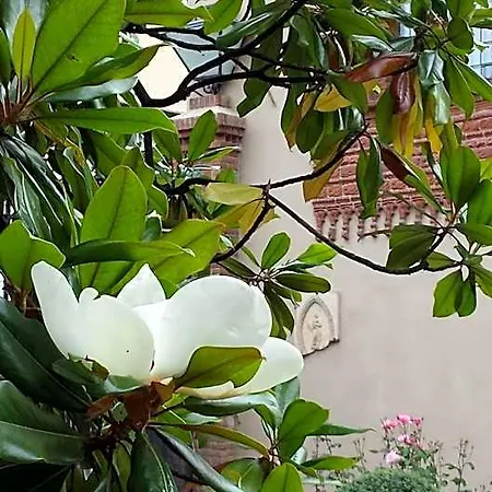 San Martino 3*