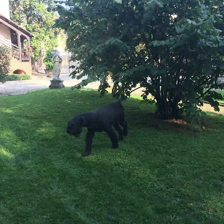 住宿加早餐酒店 San Martino