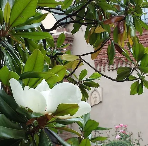 San Martino Alojamento de Acomodação e Pequeno-almoço 3*